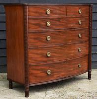 Superb Quality Regency Mahogany Bow Fronted Chest of Drawers (7 of 14) Superb Quality Regency Mahogany Bow Fronted Chest of Drawers (7 of 14)