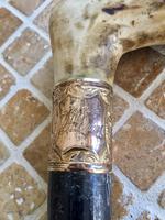Antique Gentleman’s Walking Stick with 18ct Gold Collar (4 of 8) Antique Gentleman’s Walking Stick with 18ct Gold Collar (4 of 8)