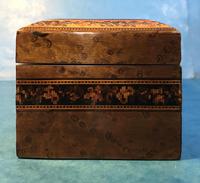 Victorian Burr Holly Glove Box with Tunbridge Ware Inlay (9 of 9) Victorian Burr Holly Glove Box with Tunbridge Ware Inlay (9 of 9)