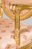 Pair of Italian 19th Century Elbow Chairs (3 of 10) Pair of Italian 19th Century Elbow Chairs (3 of 10)
