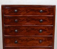Cuban Mahogany Chest of Drawers 19th Century Tallboy (7 of 12) Cuban Mahogany Chest of Drawers 19th Century Tallboy (7 of 12)