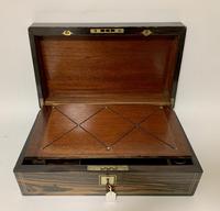 Victorian Coromandel Writing Slope Box (5 of 17) Victorian Coromandel Writing Slope Box (5 of 17)