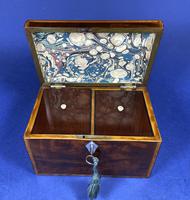 18th Century Mahogany Twin Tea Caddy with Shell Inlay (12 of 17) 18th Century Mahogany Twin Tea Caddy with Shell Inlay (12 of 17)