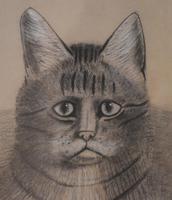 Superb Victorian 'grumpy Cat' Pastel Drawing (8 of 10) Superb Victorian 'grumpy Cat' Pastel Drawing (8 of 10)