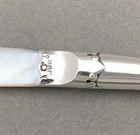 Lovely Victorian Silver & Mother of Pearl Letter Opener (2 of 4) Lovely Victorian Silver & Mother of Pearl Letter Opener (2 of 4)