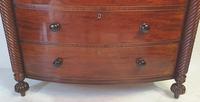 Early 19th Century Bow Front Mahogany Chest of Drawers (4 of 4) Early 19th Century Bow Front Mahogany Chest of Drawers (4 of 4)