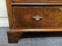 Lovely Antique Burr Walnut Chest of Drawers (11 of 14) Lovely Antique Burr Walnut Chest of Drawers (11 of 14)