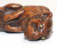 Good Carved Boxwood Novelty Parasol Handle of Tiger Glass Eyes c.1900 (8 of 8) Good Carved Boxwood Novelty Parasol Handle of Tiger Glass Eyes c.1900 (8 of 8)