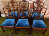 Set of 6 Hepplewhite Style Mahogany Dining Chairs (8 of 8) Set of 6 Hepplewhite Style Mahogany Dining Chairs (8 of 8)