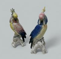 Pair Antique German Porcelain Birds Parakeets Cockrels Cockatoo Parrots Karl Ens
