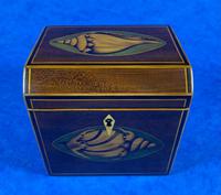 Georgian Mahogany Shell Inlaid Single Tea Caddy (3 of 15) Georgian Mahogany Shell Inlaid Single Tea Caddy (3 of 15)
