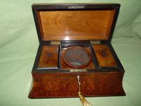Large Burr Walnut Bell Style Tea Caddy - Original Lids c.1870 (6 of 11) Large Burr Walnut Bell Style Tea Caddy - Original Lids c.1870 (6 of 11)