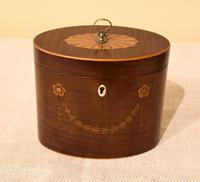 Oval Harewood Tea Caddy