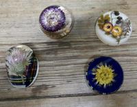 Collection of 4 Dried Flower Paper Weights (2 of 5) Collection of 4 Dried Flower Paper Weights (2 of 5)