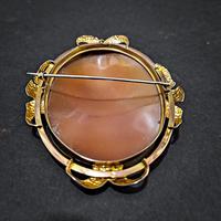 Shell Cameo Brooch (7 of 7) Shell Cameo Brooch (7 of 7)