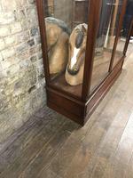 Antique Mahogany Shop Cabinet 'One of a Pair' (2 of 4) Antique Mahogany Shop Cabinet 'One of a Pair' (2 of 4)