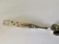 Item Additional Image