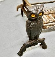 Quirky Model Owl Iron Andirons with Grate (4 of 7) Quirky Model Owl Iron Andirons with Grate (4 of 7)