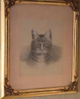 Superb Victorian 'grumpy Cat' Pastel Drawing (6 of 10) Superb Victorian 'grumpy Cat' Pastel Drawing (6 of 10)