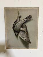 Item Additional Image