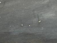 3550e7c79daf441bad041dc9e2d91dee_1750517500679.jpeg