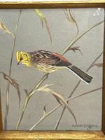 Watercolour "Yellowhammer" Passerine Bird Study By Rolston Gudgeon RSW (11 of 34) Watercolour "Yellowhammer" Passerine Bird Study By Rolston Gudgeon RSW (11 of 34)