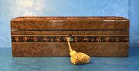 Victorian Burr Holly Glove Box with Tunbridge Ware Inlay (3 of 9) Victorian Burr Holly Glove Box with Tunbridge Ware Inlay (3 of 9)