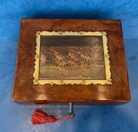 Victorian Walnut Display Box (4 of 11) Victorian Walnut Display Box (4 of 11)
