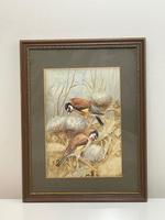 Ornithological Watercolour Finches Birds Study by Florence Barlow Royal Doulton (2 of 40) Ornithological Watercolour Finches Birds Study by Florence Barlow Royal Doulton (2 of 40)