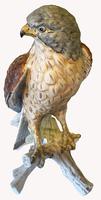A Porcelain Falcon Eagle Hawk by Goebel of Germany (5 of 7) A Porcelain Falcon Eagle Hawk by Goebel of Germany (5 of 7)