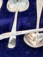 Coffee Spoons by Atkin Bros 1904 (4 of 7) Coffee Spoons by Atkin Bros 1904 (4 of 7)