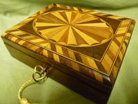 Specimen Wood Trinket Box. C1880 (12 of 12) Specimen Wood Trinket Box. C1880 (12 of 12)