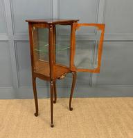 Art Nouveau Mahogany Vitrine (8 of 15) Art Nouveau Mahogany Vitrine (8 of 15)
