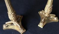 Pair of Good Quality Antique Gilt Brass & Crystal Drop Neo Classical Two Branch Candelabra (5 of 8) Pair of Good Quality Antique Gilt Brass & Crystal Drop Neo Classical Two Branch Candelabra (5 of 8)