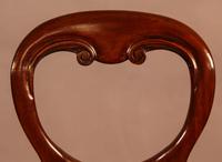 Set of 12 Victorian Mahogany Balloon Back Dining Chairs fully restored (6 of 11) Set of 12 Victorian Mahogany Balloon Back Dining Chairs fully restored (6 of 11)