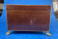 Georgian Mahogany Jewellery Box with Front Drawer (12 of 17) Georgian Mahogany Jewellery Box with Front Drawer (12 of 17)