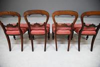 4 Mahogany Balloon Back Dining Chairs (2 of 12) 4 Mahogany Balloon Back Dining Chairs (2 of 12)