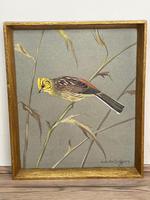 Watercolour "Yellowhammer" Passerine Bird Study By Rolston Gudgeon RSW (10 of 34) Watercolour "Yellowhammer" Passerine Bird Study By Rolston Gudgeon RSW (10 of 34)