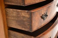 Antique Burr Walnut Bow Front Chest of Drawers (7 of 9) Antique Burr Walnut Bow Front Chest of Drawers (7 of 9)
