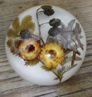 Collection of 4 Dried Flower Paper Weights (4 of 5) Collection of 4 Dried Flower Paper Weights (4 of 5)