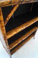 Victorian Bamboo Bookcase (9 of 12) Victorian Bamboo Bookcase (9 of 12)