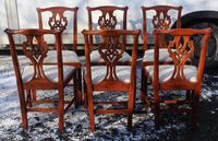 1960 Set 6 Mahogany Georgian style Dining Chairs in a Pale Pattern. (3 of 3) 1960 Set 6 Mahogany Georgian style Dining Chairs in a Pale Pattern. (3 of 3)