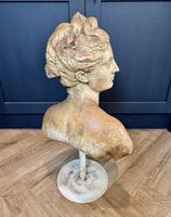 Item Additional Image