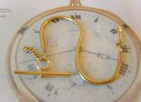 Vintage Pocket Watch Chain 1970s 12ct Gold Plated Snake Link Albert With T Bar (3 of 7) Vintage Pocket Watch Chain 1970s 12ct Gold Plated Snake Link Albert With T Bar (3 of 7)