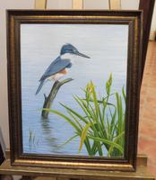 Oil on Canvas Study of a Kingfisher Listed Artist Geoffrey Campbell Black (7 of 10) Oil on Canvas Study of a Kingfisher Listed Artist Geoffrey Campbell Black (7 of 10)