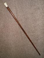 Antique Rosewood Walking Stick / Cane with Pommel Handle Top (2 of 11) Antique Rosewood Walking Stick / Cane with Pommel Handle Top (2 of 11)