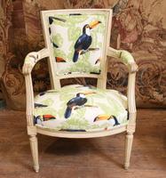 Pair of Painted Arm Chairs Regency Toucan Print Interiors (3 of 5)