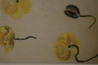 Flower Studies by Joan Warburton (2 of 6) Flower Studies by Joan Warburton (2 of 6)
