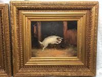 Pair of Victorian 19th Century Oil Paintings Terrier Dogs Ratting Signed J Langlois (35 of 35) Pair of Victorian 19th Century Oil Paintings Terrier Dogs Ratting Signed J Langlois (35 of 35)