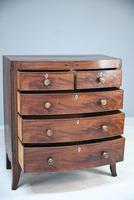Early 19th Century Chest of Drawers (7 of 14) Early 19th Century Chest of Drawers (7 of 14)